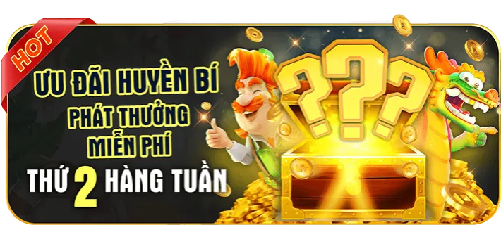 Cam kết của 5 Win
